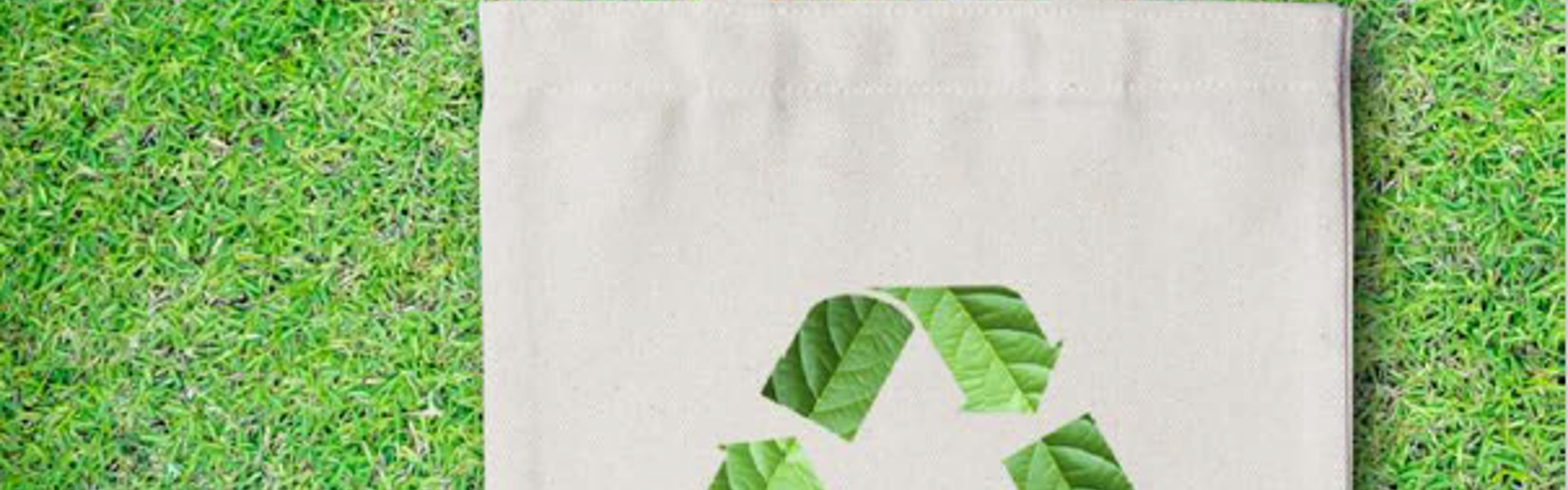 Folder om grøn omstilling